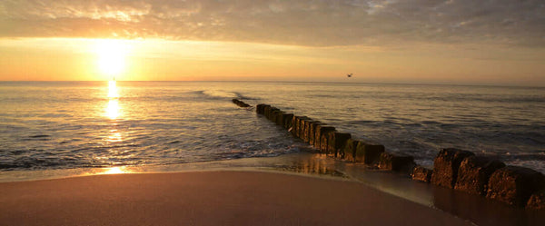 REIN & ARTIG Hautpflege im Sommer Gesichtsreiniger & Gesichtscreme Skincare Mann Anti-Aging Bio Vegan natürlich reinartig für Männer Gesichtsreinigung empfindliche Haut Männerhaut trockene fettige Mischhaut