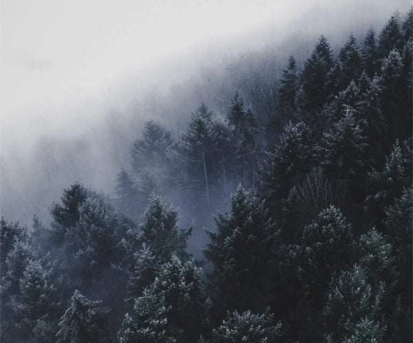 REIN & ARTIG Trockene Haut im Winter vermeiden Gesichtsreiniger & Gesichtscreme Skincare Mann Anti-Aging Bio Vegan natürlich reinartig für Männer Gesichtsreinigung empfindliche Haut Männerhaut trockene fettige Mischhaut