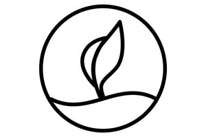 REIN & ARTIG Anti- Aging Vegan Pflanzlich Natürlich Hautpflege Mann für Männer Gesichtscreme Gesichtspflege Männerhaut trockene fettige Haut Mischhaut Bio unreine